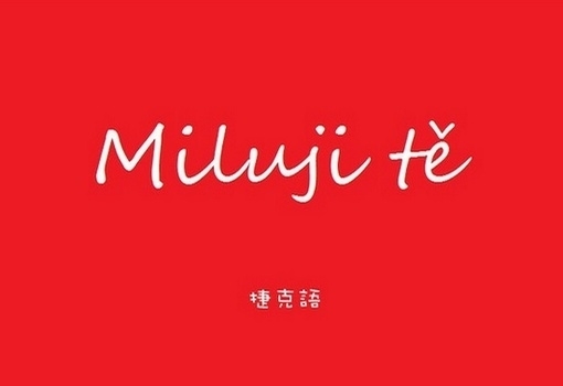 捷克斯洛伐克语系本科以上 - 捷克语.jpeg